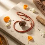 6 Mukhi Nepali Rudraksha Original thumbnail 3