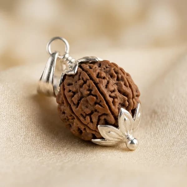 7 Mukhi Nepali Rudraksh 