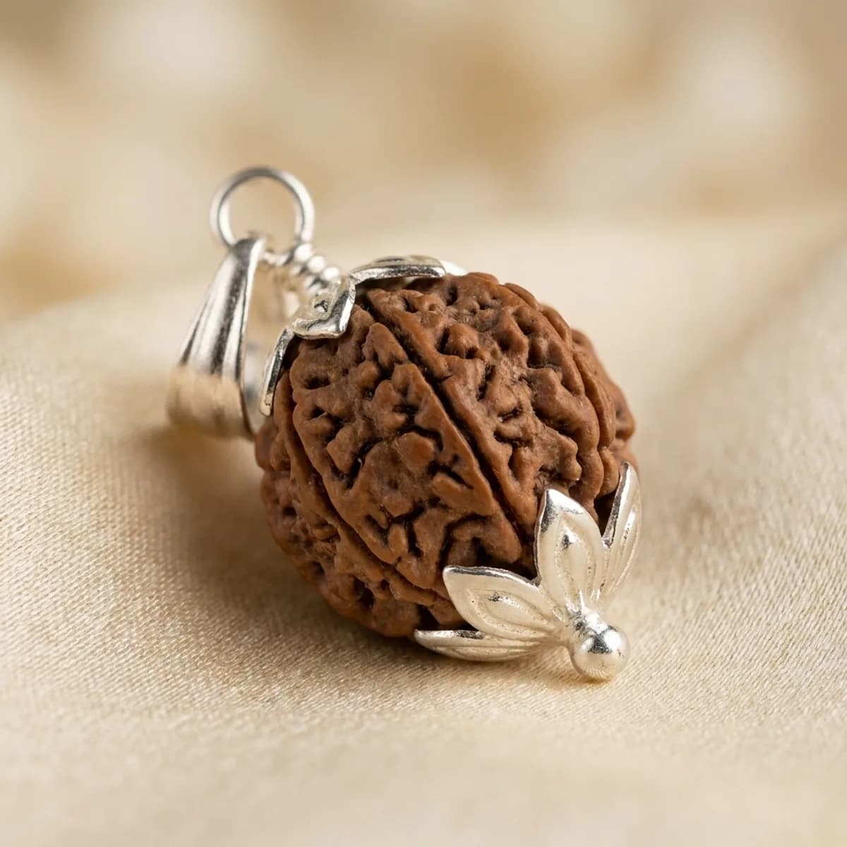 7 Mukhi Nepali Rudraksh  — photo 2