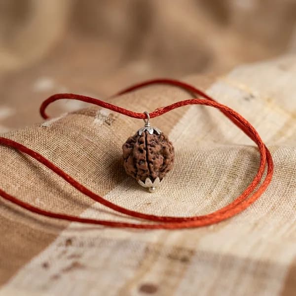 4 Mukhi Nepali Rudraksha