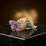 Money Magnet Wealth Turtle thumbnail 3