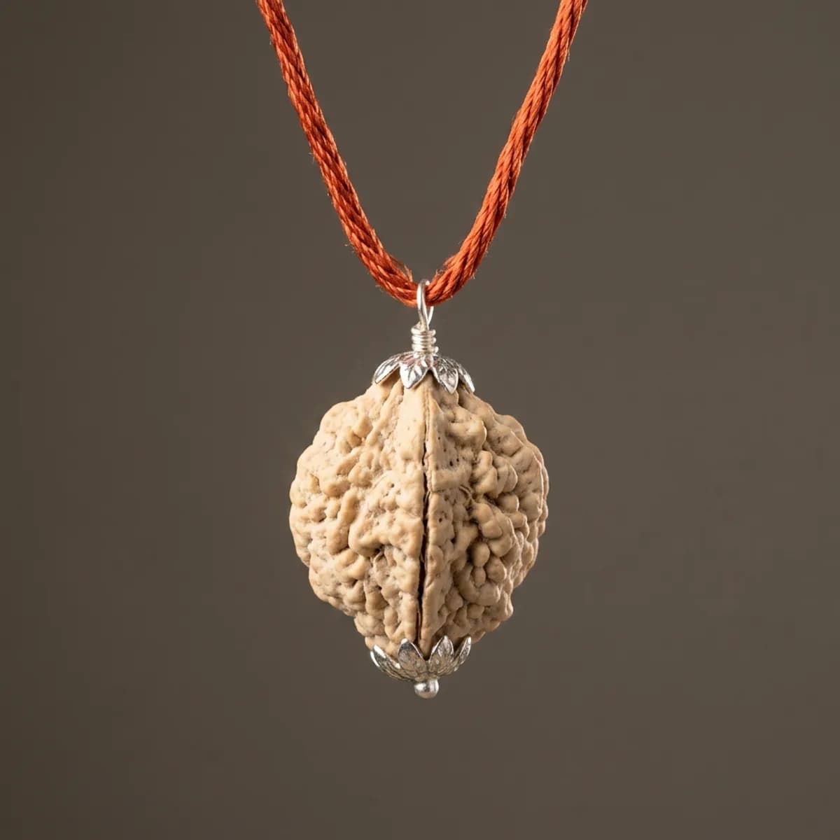 2 Mukhi Nepali Rudraksh — photo 4