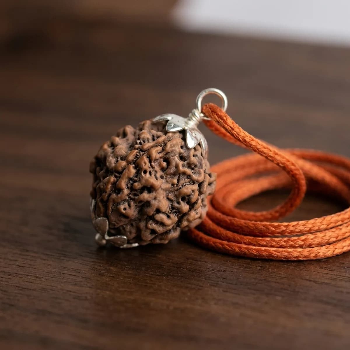 5 Mukhi Nepali Rudraksha — photo 1